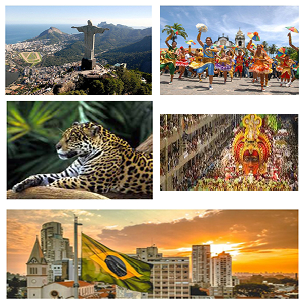 about-brazil-india-brazil-business-and-cultural-council