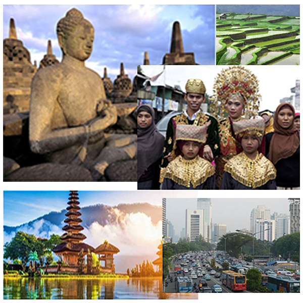 about-indonesia-india-indonesia-business-and-cultural-council
