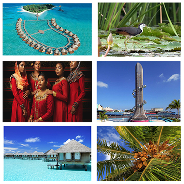 about-maldives-india-maldives-business-and-cultural-council