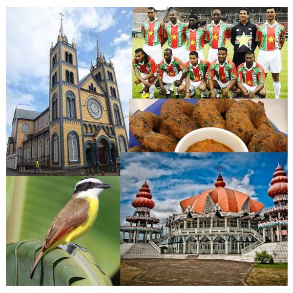 About Suriname