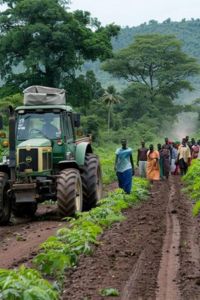 Sectors of Kenya - Agriculture