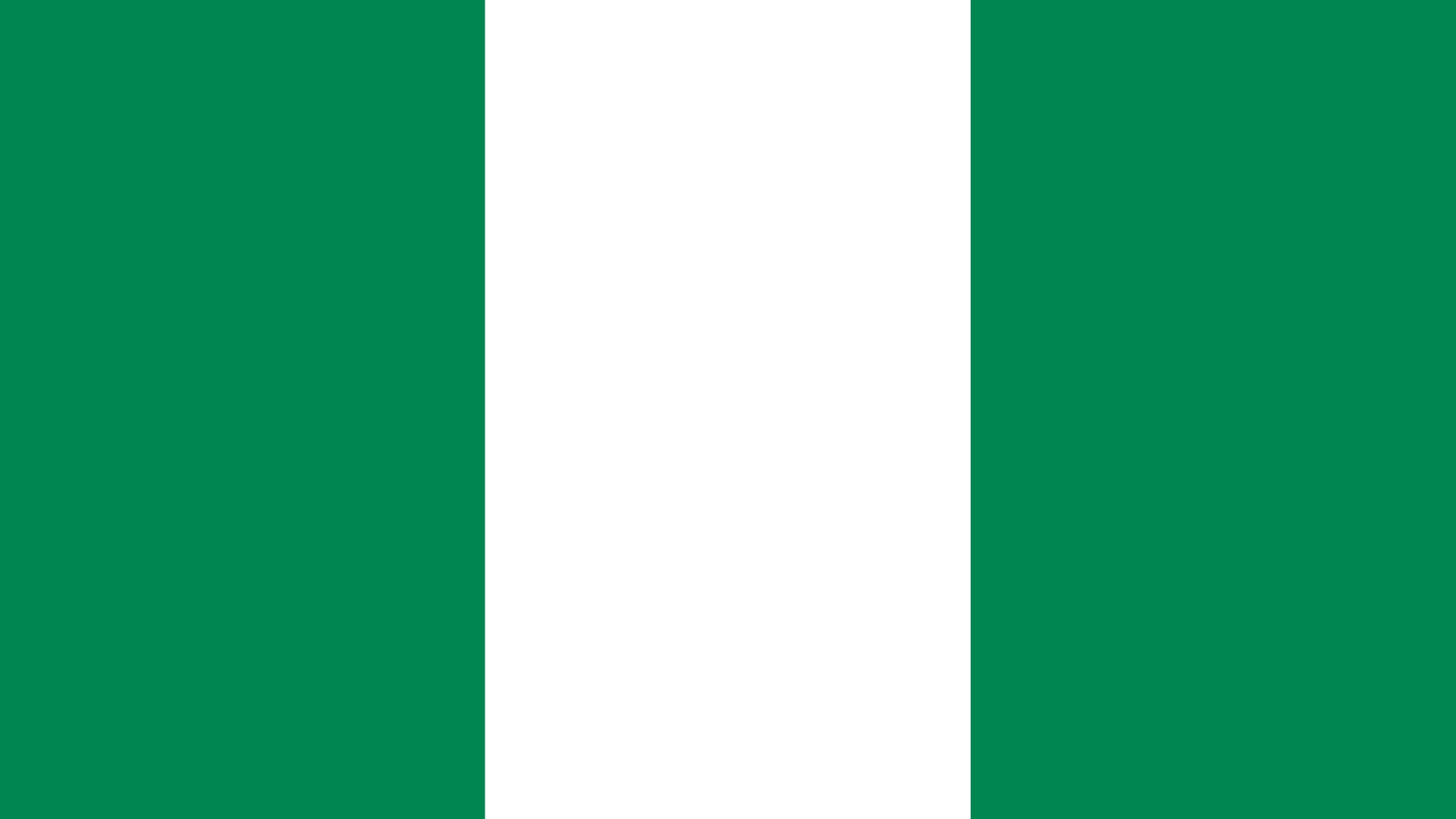Celebrating with Latin Countries - Nigeria  Flag