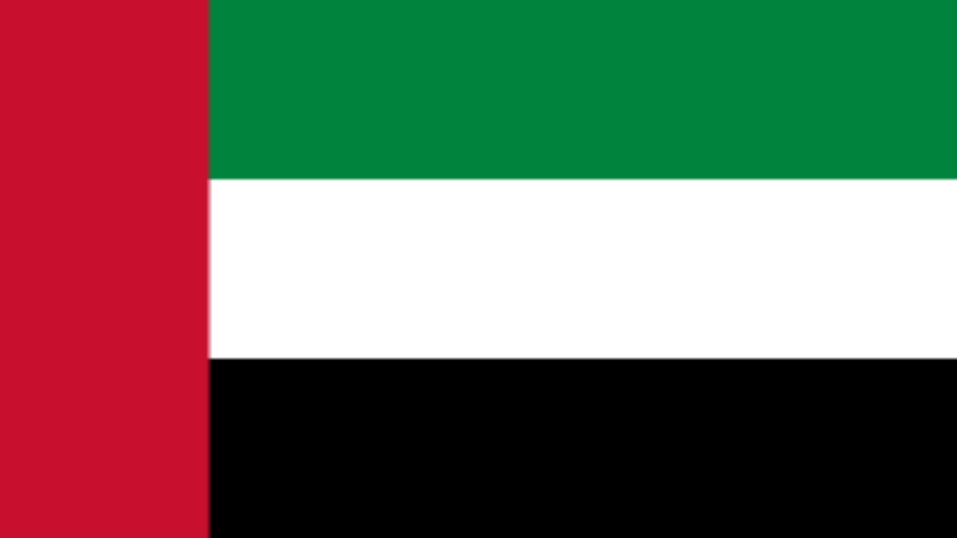 UAE Flag