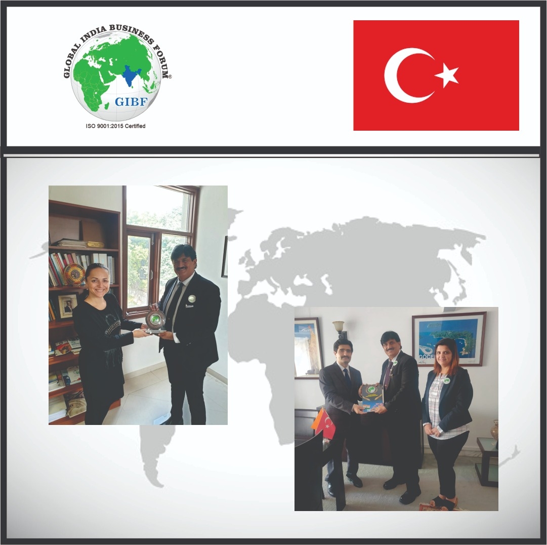turkey embassy image